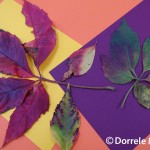 Leaves On Purple
